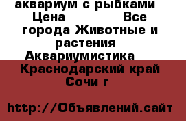 аквариум с рыбками › Цена ­ 15 000 - Все города Животные и растения » Аквариумистика   . Краснодарский край,Сочи г.